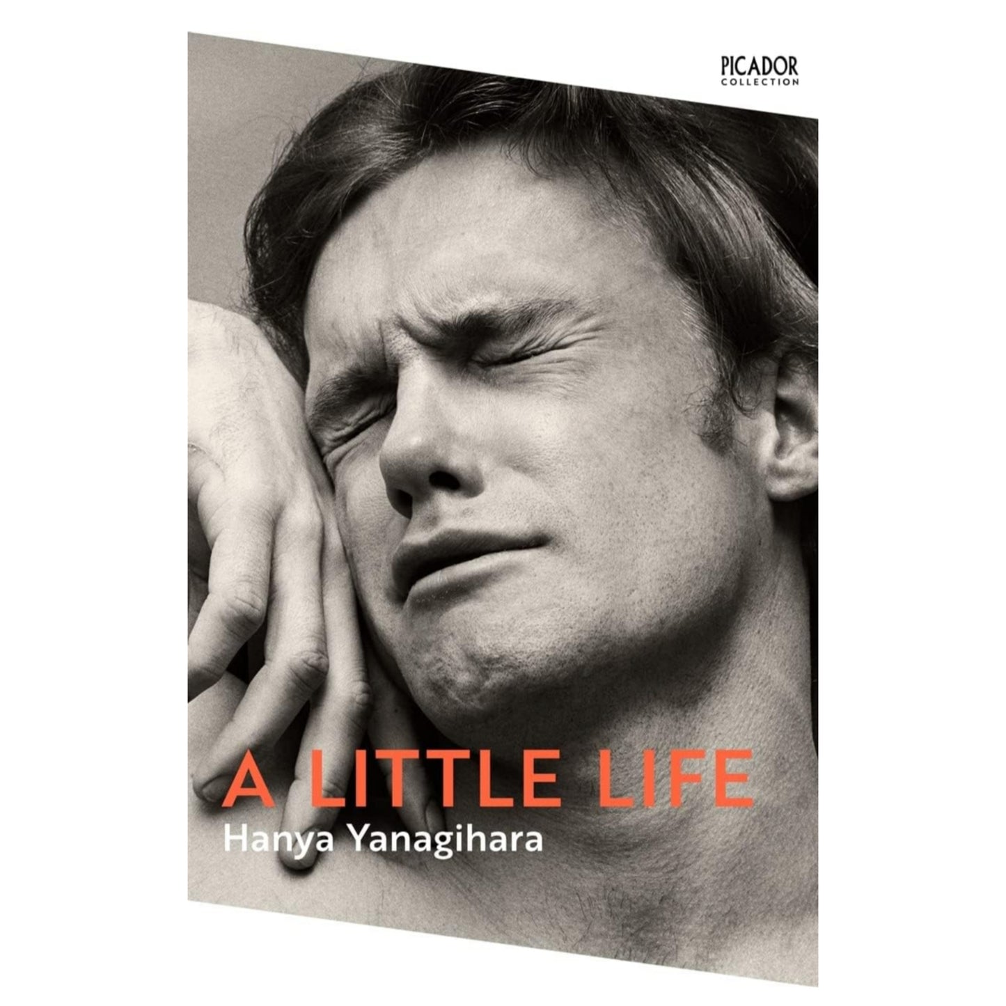 A Little Life