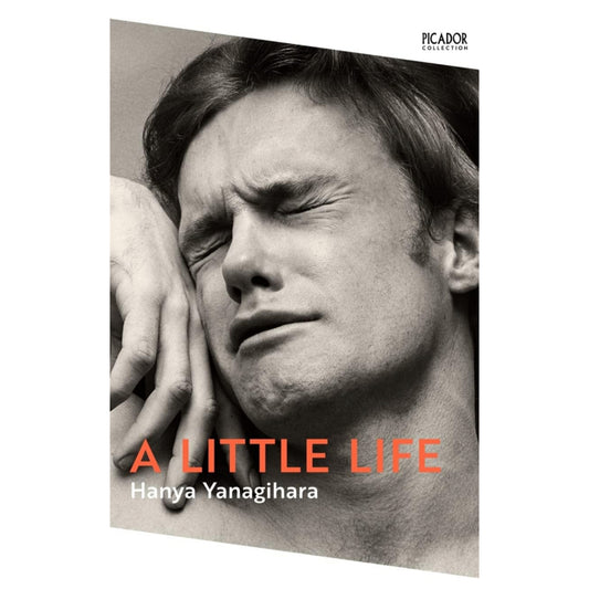 A Little Life