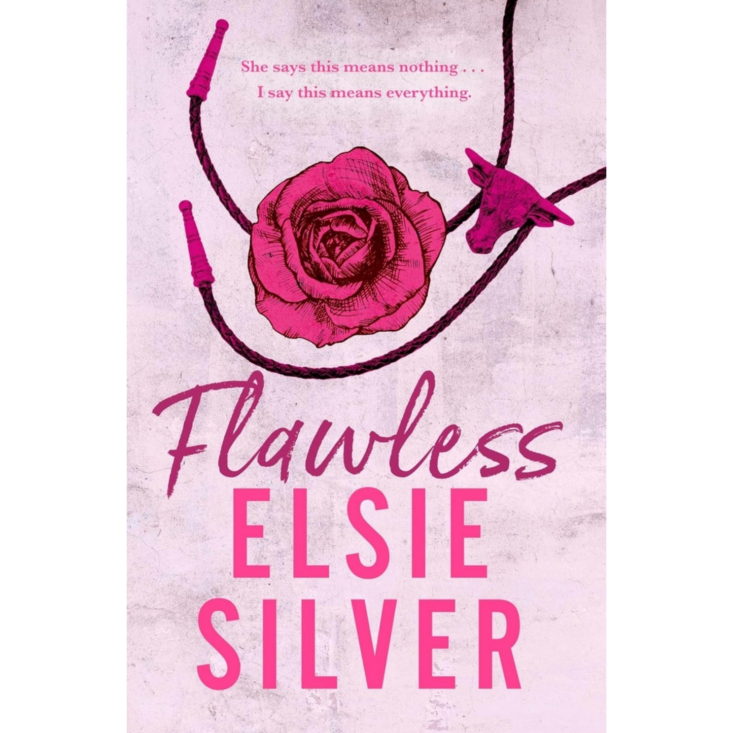 Chestnut Springs Series By Elsie Silver 4 Books Collection Set