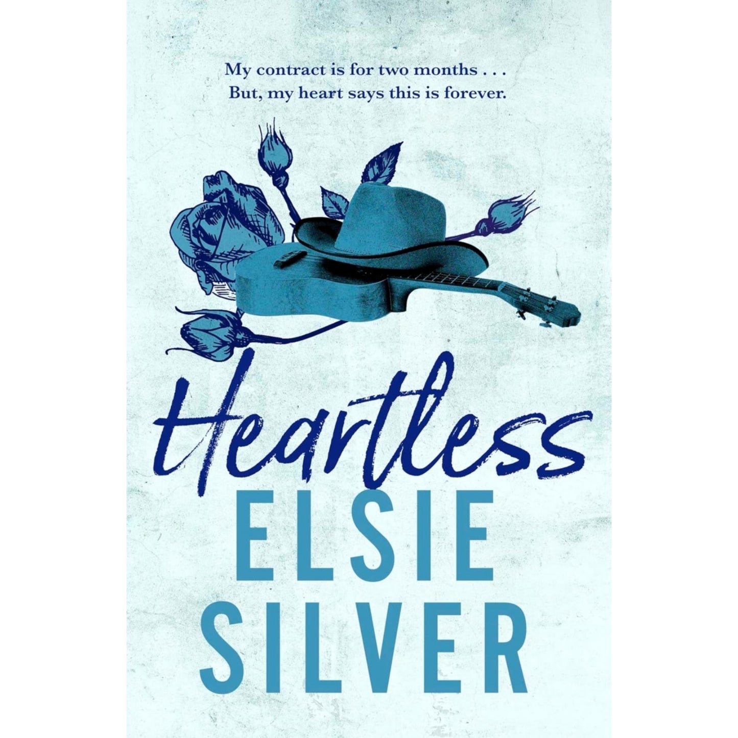 Chestnut Springs Series By Elsie Silver 4 Books Collection Set